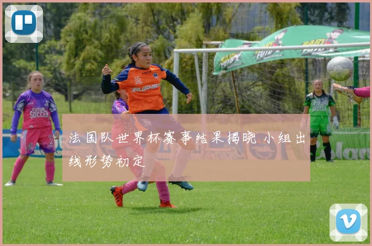 法国队世界杯赛事结果揭晓 小组出线形势初定