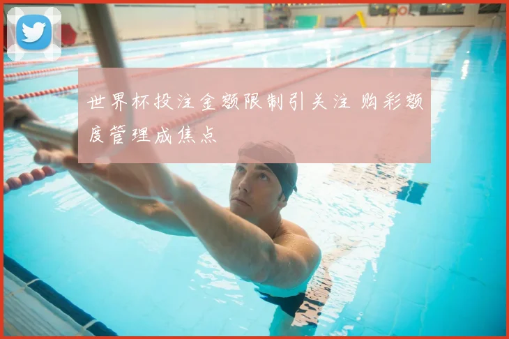 世界杯投注金额限制引关注 购彩额度管理成焦点