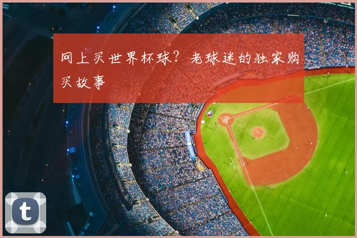 网上买世界杯球?老球迷的独家购买故事