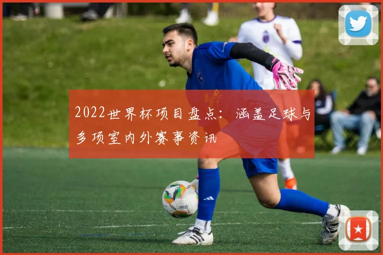 2022世界杯项目盘点：涵盖足球与多项室内外赛事资讯