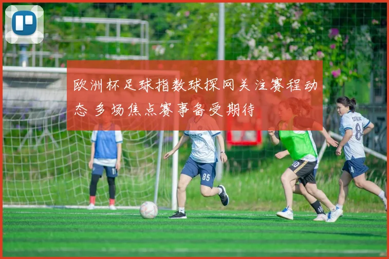 欧洲杯足球指数球探网关注赛程动态 多场焦点赛事备受期待