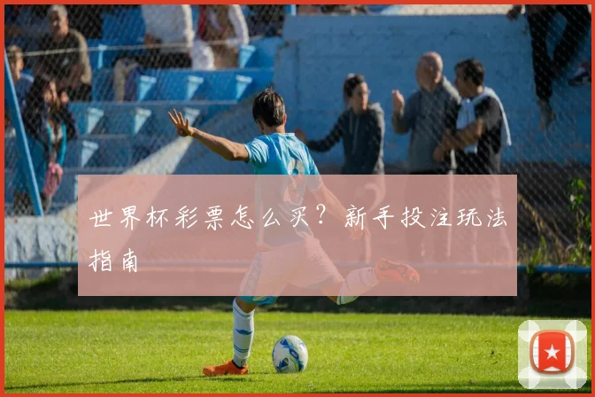 世界杯彩票怎么买？新手投注玩法指南