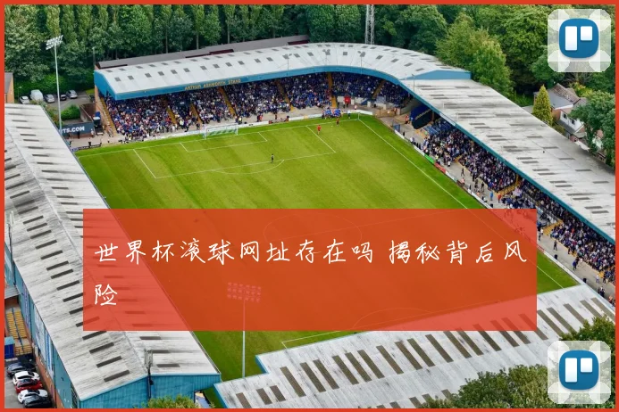 世界杯滚球网址存在吗 揭秘背后风险