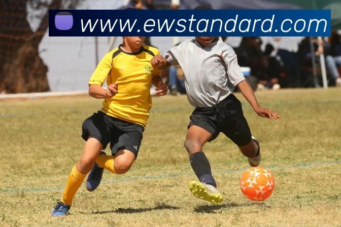 kaiyun开云官方网站服务体系